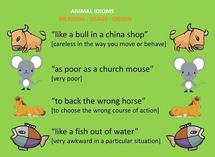Animal Idioms in English & Idiom Origins