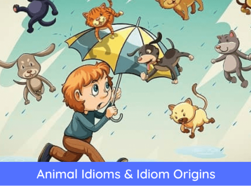 20 Popular Animal Idioms with Their Meanings and Origins ad-mania