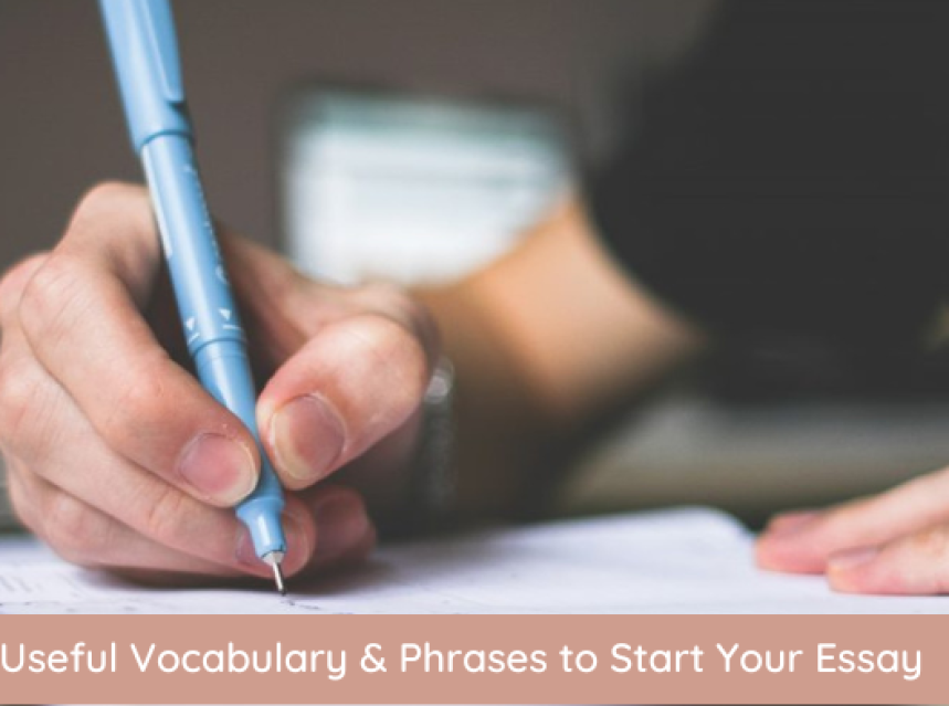 20 Useful Vocabulary & Phrases to Start Your Essay ad-mania