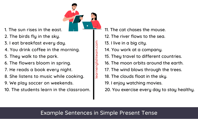 Verb Tenses - Present Tense - Exercise 11 - Simple Present Tense